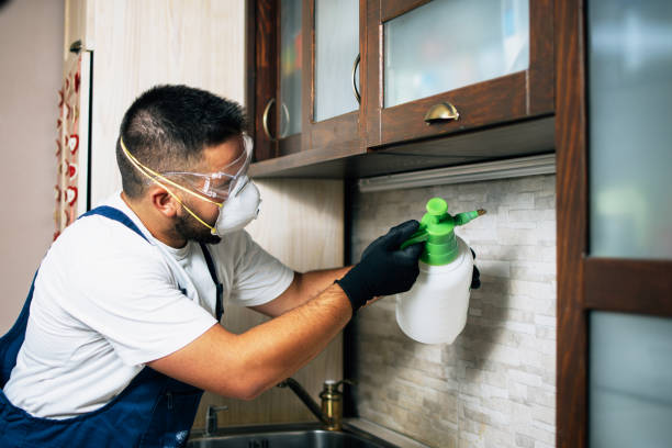 Best Pest Control Near Me  in Marietta, OK