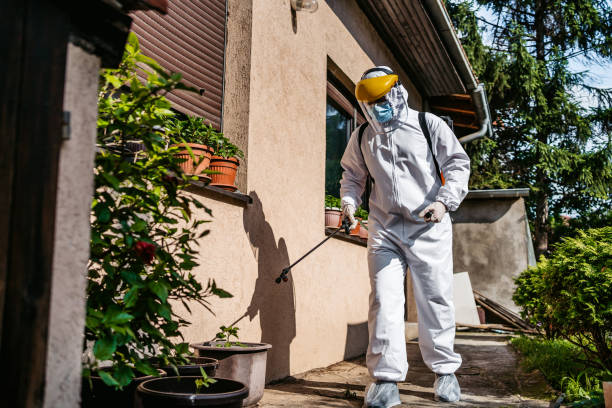 Best Bed Bug Extermination  in Marietta, OK