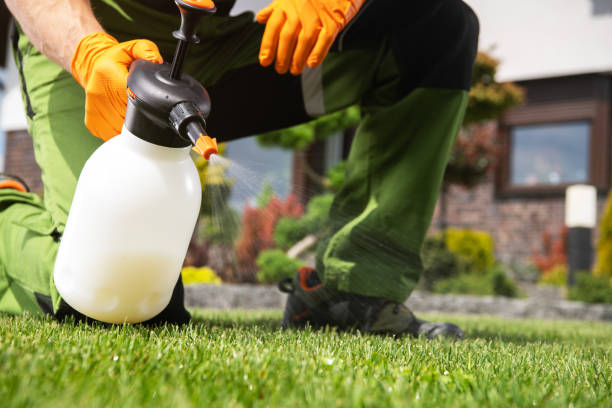 Best Best Pest Control Companies  in Marietta, OK