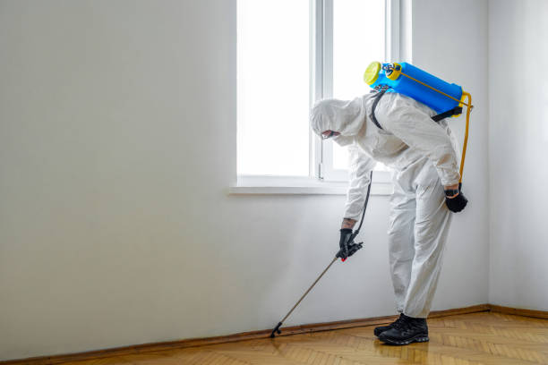 Best Pest Removal Services  in Marietta, OK
