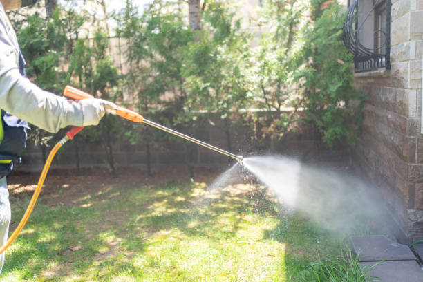 Best Affordable Pest Control Services  in Marietta, OK