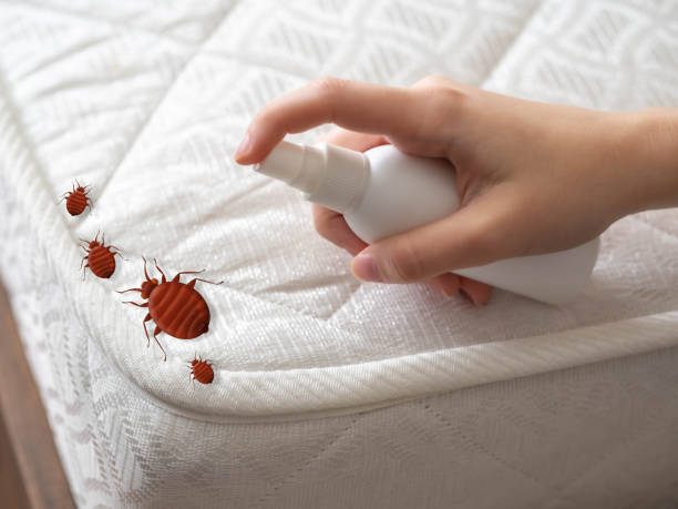 Flea Control Services in Marietta, OK