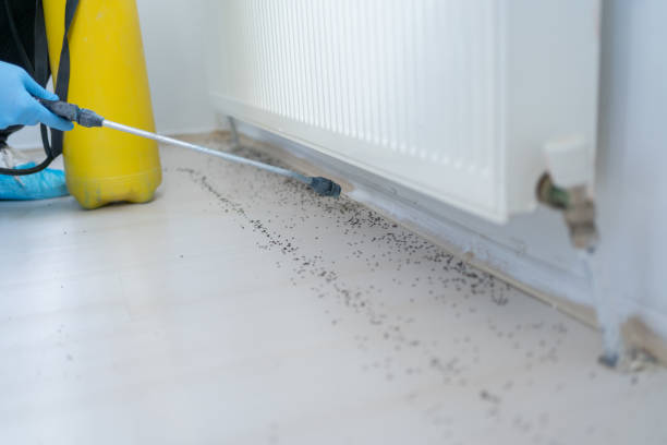 Best Best Pest Control Companies  in Marietta, OK