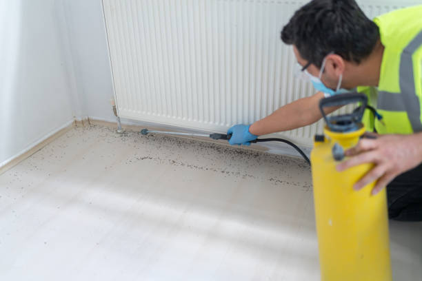 Best Flea Control Services  in Marietta, OK