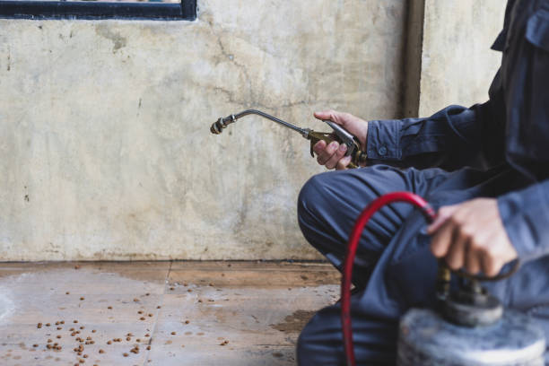 Best Mosquito Control Services  in Marietta, OK
